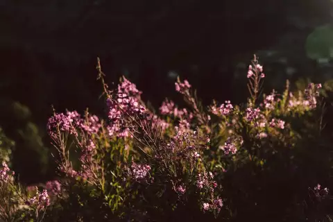 02_hotel-apres-post_blog_mystischer-sommer