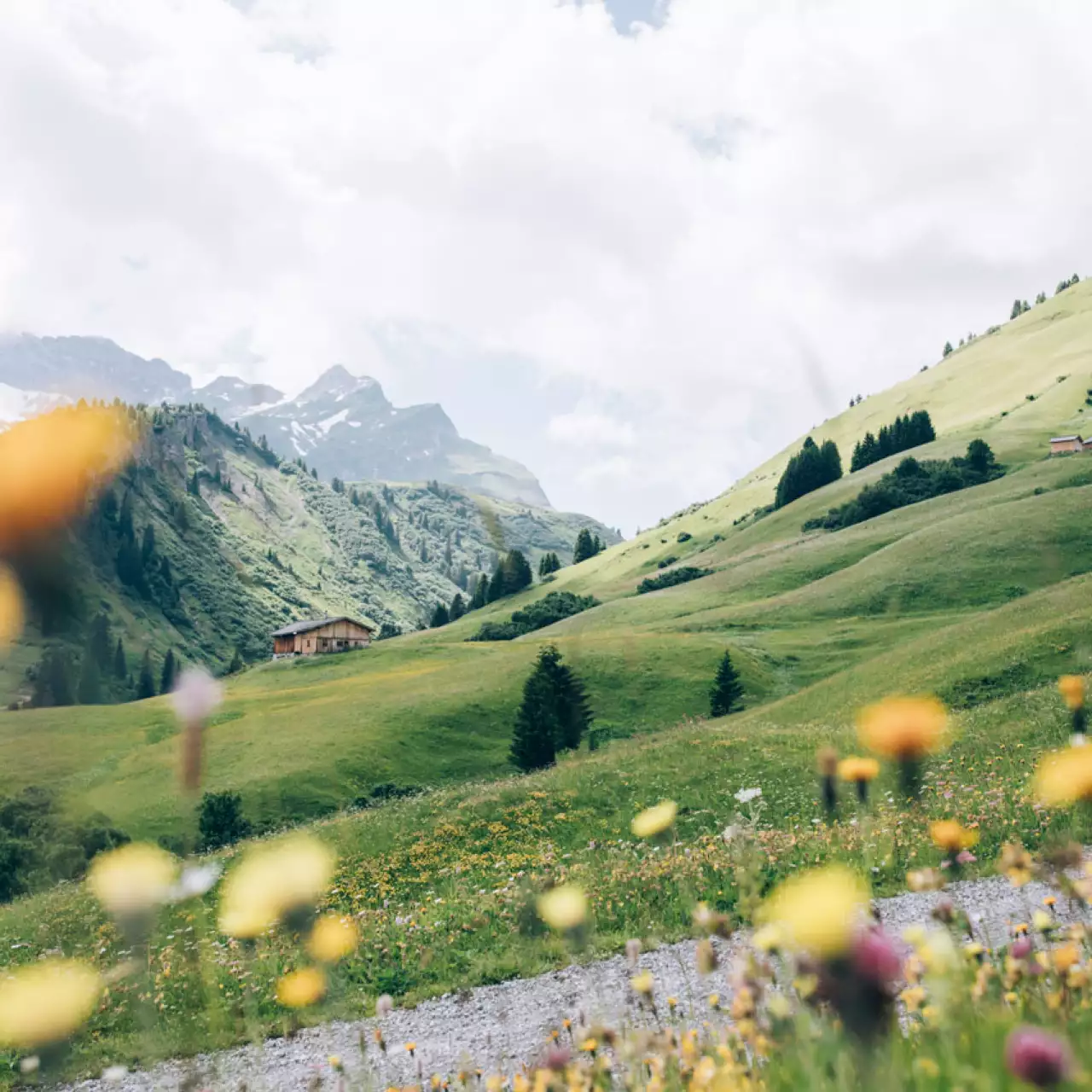 Bild zeigt die tolle Landschaft rund ums Wanderparadies Arlberg