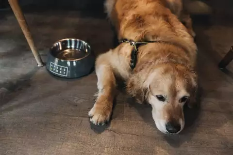 05_momente_apres_post_arlberg